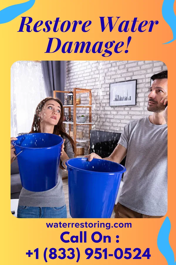 water restoration Platinum Emergency Restoration Force New Carrollton