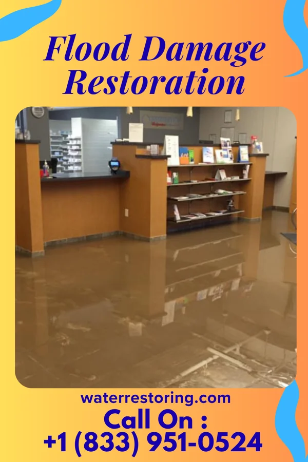 Flood Damage Restoration in New Carrollton, MD