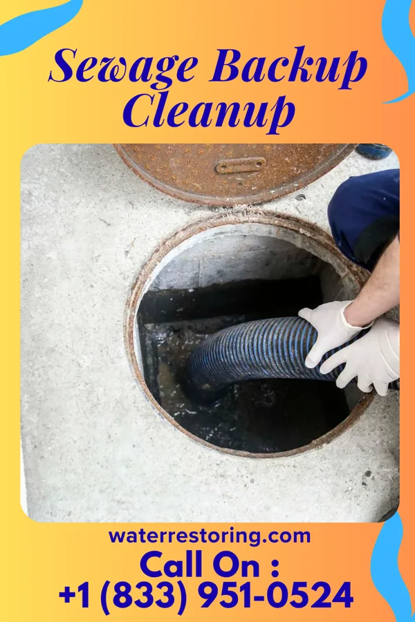 Sewage Backup Cleanup in New Carrollton, MD